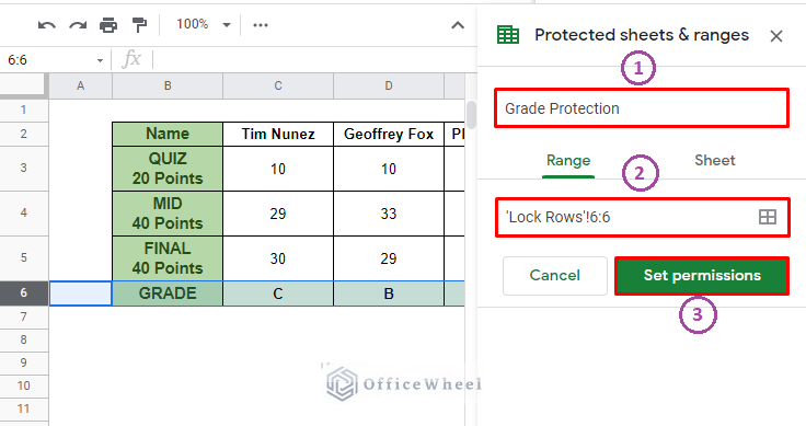 primary options in the protected sheets & ranges
